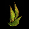 leaves 3